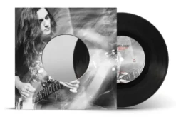 Album45 T (30CM) MAXI No Need To Try Harder / Trouble Coming