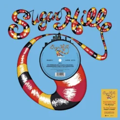 Album45 T (30CM) MAXI The Message