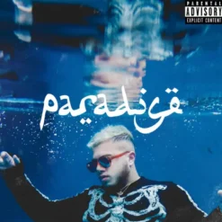 Album33 T 30 CM Paradise