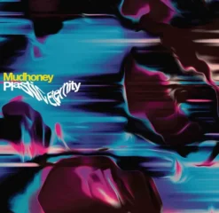 Album33 T 30 CM Plastic Eternity
