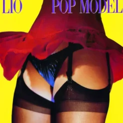 Album33 T 30 CM Pop model