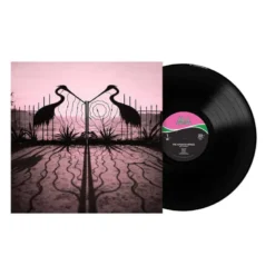 Album33 T 30 CM Soft Control