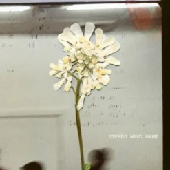 Album33 T 30 CM Stereo Mind Game