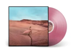 Album33 T 30 CM Strays