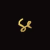 Album33 T 30 CM Sylvan Esso