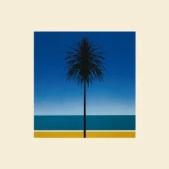 Album33 T 30 CM The English Riviera
