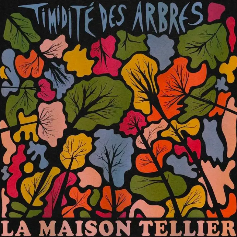 Album33 T 30 CM Timidite Des Arbres