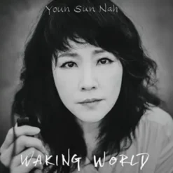 Album33 T 30 CM Waking World (Vinyle)