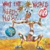 Album33 T 30 CM What The World Needs Now