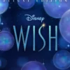 Album33 T 30 CM Wish