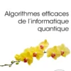 Algorithmes efficaces de l’informatique quantique