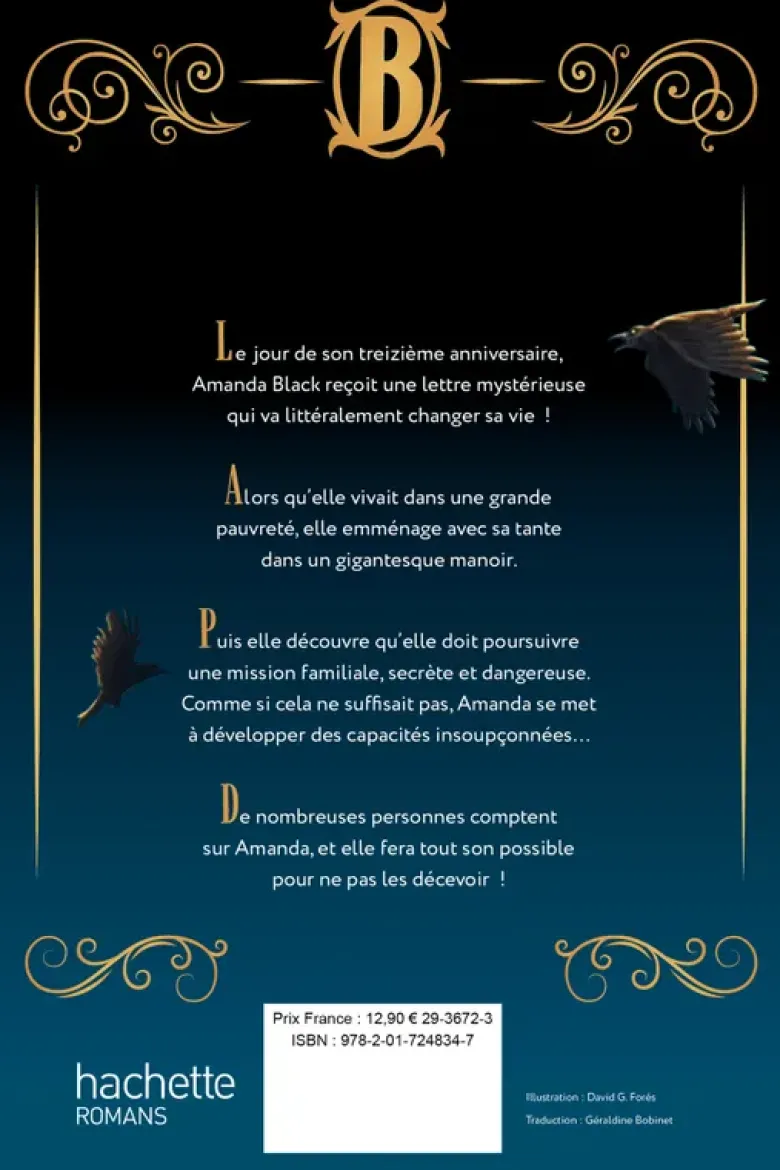 Amanda Black - tome 1 - Un héritage inattendu