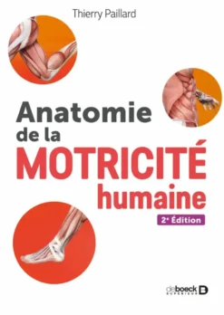 Anatomie de la motricité humaine