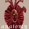 Anatomy - Love Story