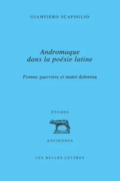 Andromaque dans la poésie latine