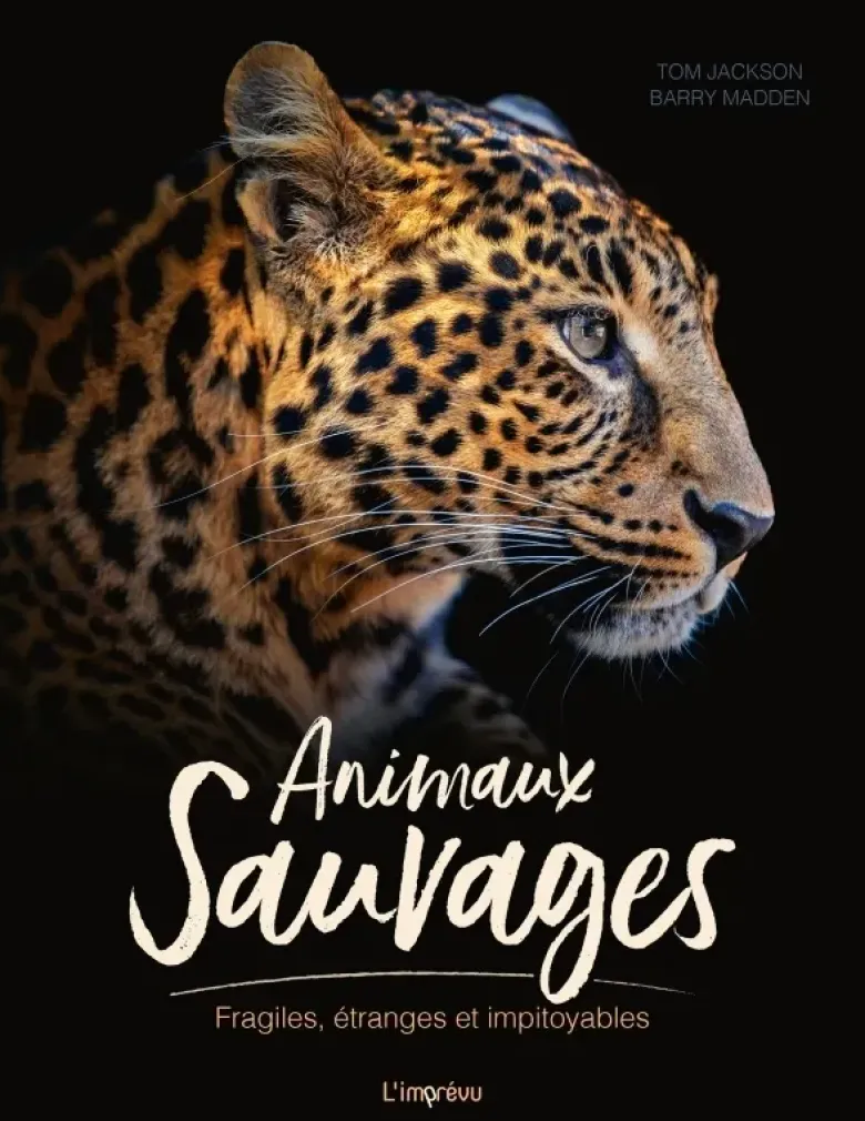 Animaux sauvages