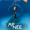 Apnée, Entraînement et préparation spécifique