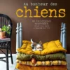 Au bonheur des chiens