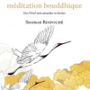 Au coeur de la méditation bouddhique