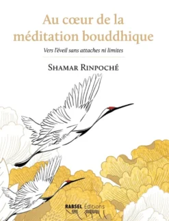 Au coeur de la méditation bouddhique