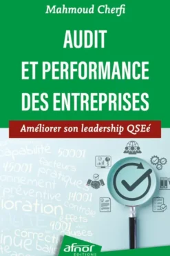 Audit et performance des entreprises