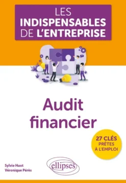 Audit financier