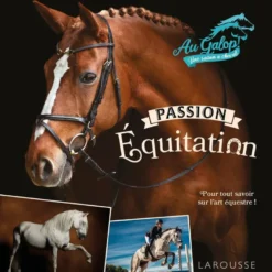 Au galop !Au Galop - Passion équitation