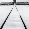 Auschwitz-Birkenau vu par Raymond Depardon