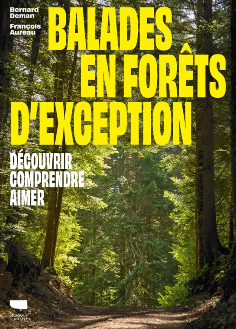 Balades en forêts d'exception