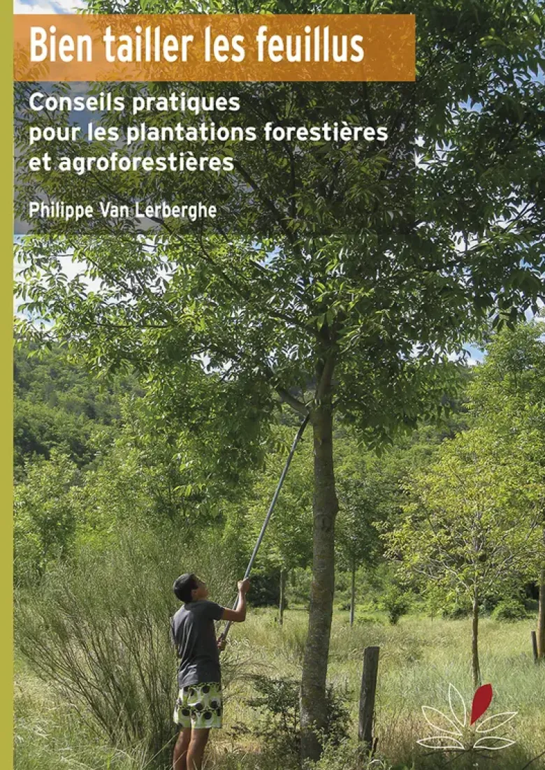 Bien tailler les feuillus
