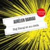Big Bang et au-delà