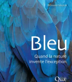 Bleu
