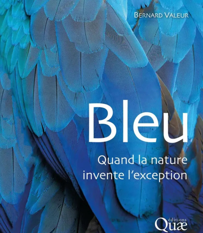 Bleu