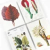 Bloc notes A5 Botanical