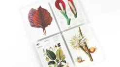 Bloc notes A5 Botanical