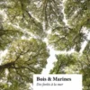 Bois et Marines