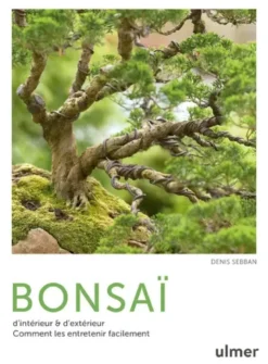 Bonsaï d'intérieur & d'extérieur