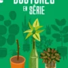 Boutures en série