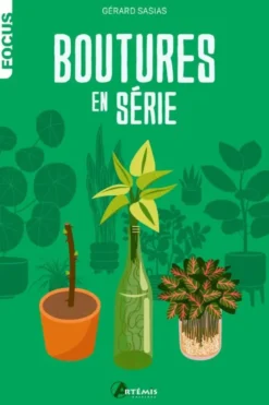 Boutures en série