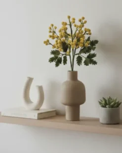 Branche de Mimosa