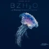 Bzh2O