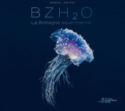 Bzh2O