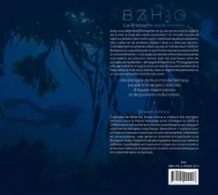 Bzh2O