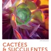 Cactées & succulentes