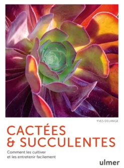 Cactées & succulentes