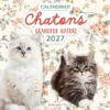 Calendrier Chatons grandeur nature 2027