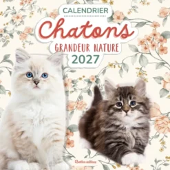 Calendrier Chatons grandeur nature 2027