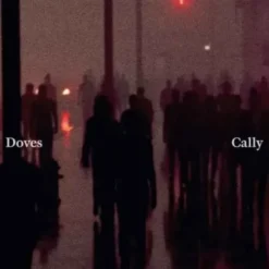Cally / Lean Into The Wind - Disquaire Day 2025