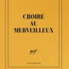 Carnet carré «Croire au merveilleux» (papeterie)