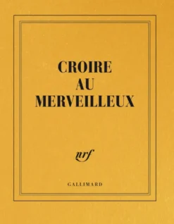 Carnet carré «Croire au merveilleux» (papeterie)